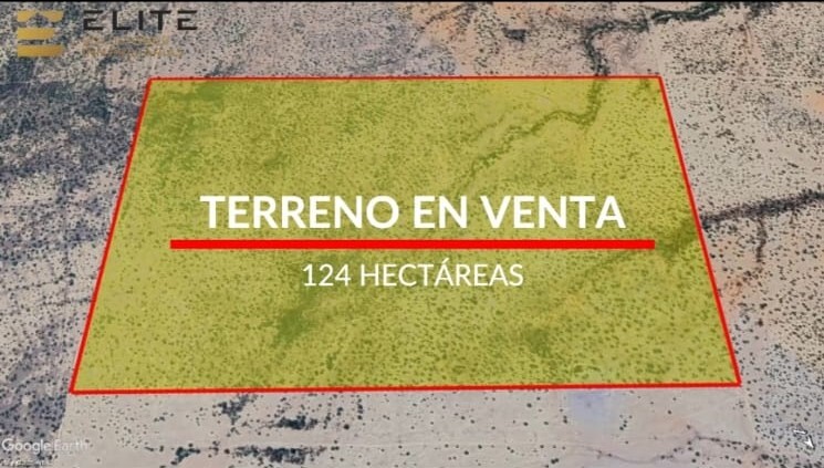 1 de 6