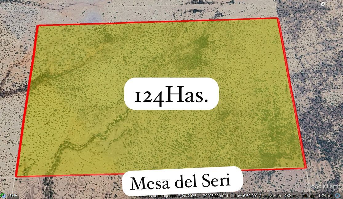 2 de 6