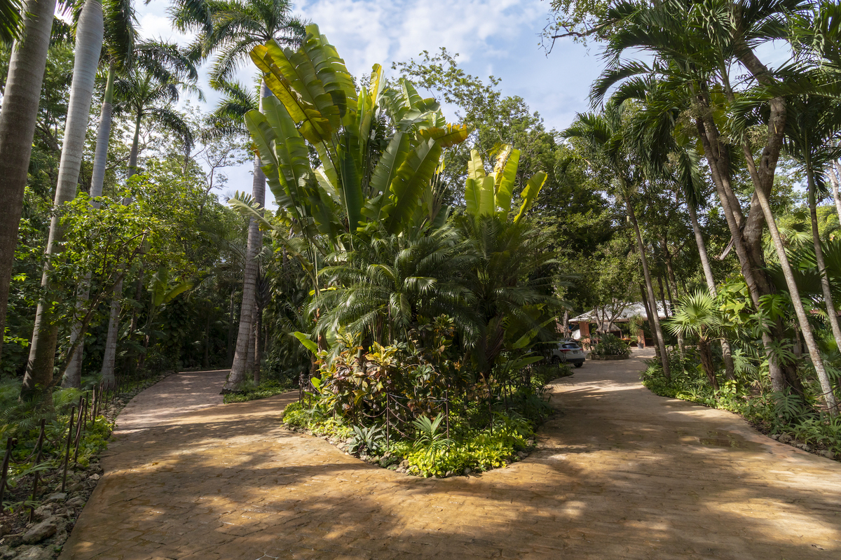 5 de 50