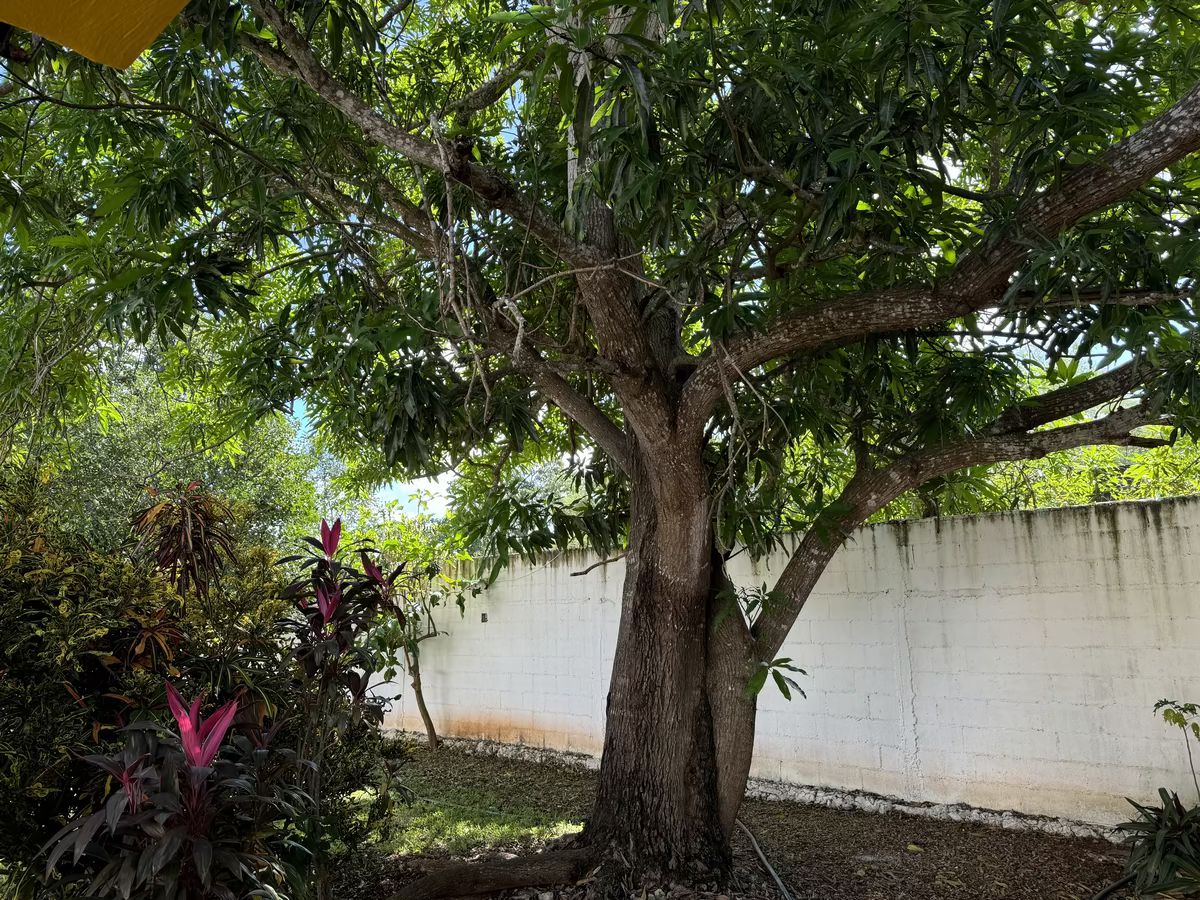 30 de 34