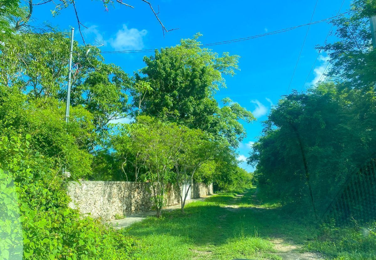 10 de 15