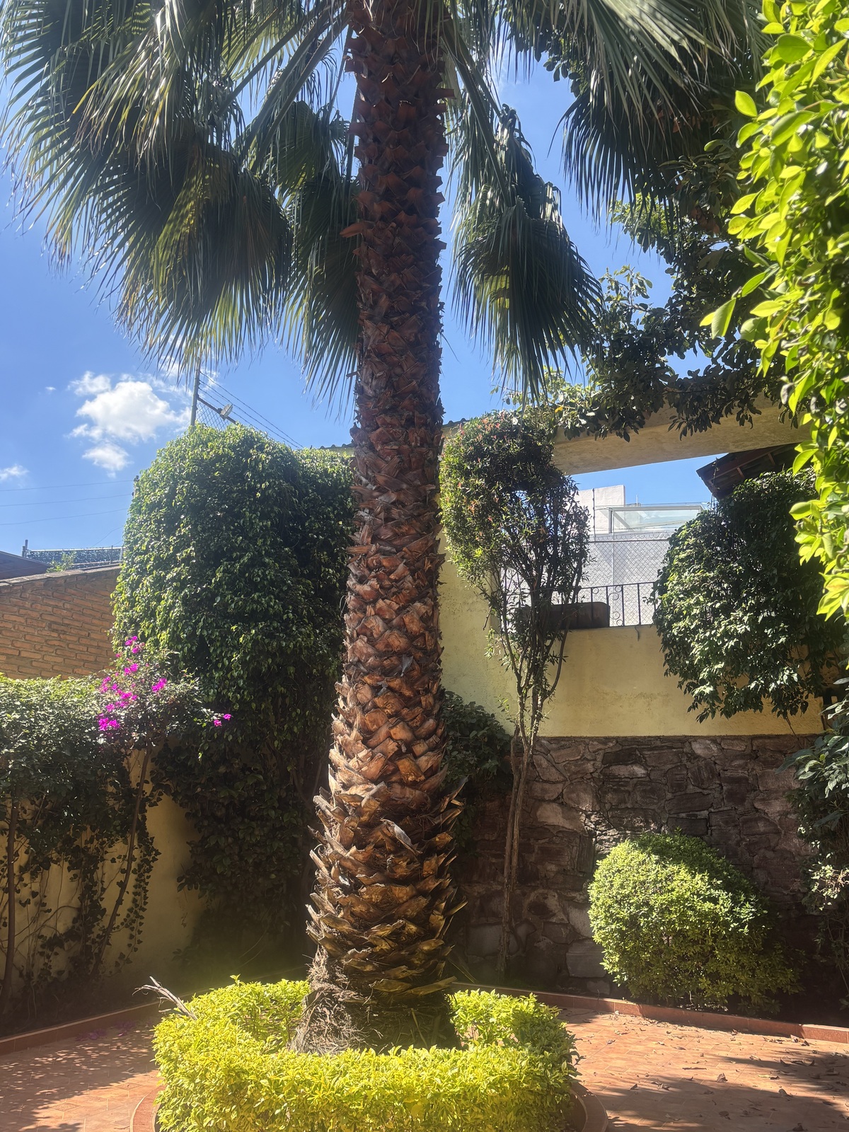 5 de 36