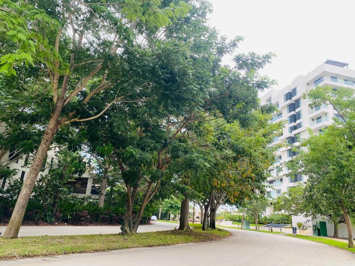 34 of 38: Áreas verdes