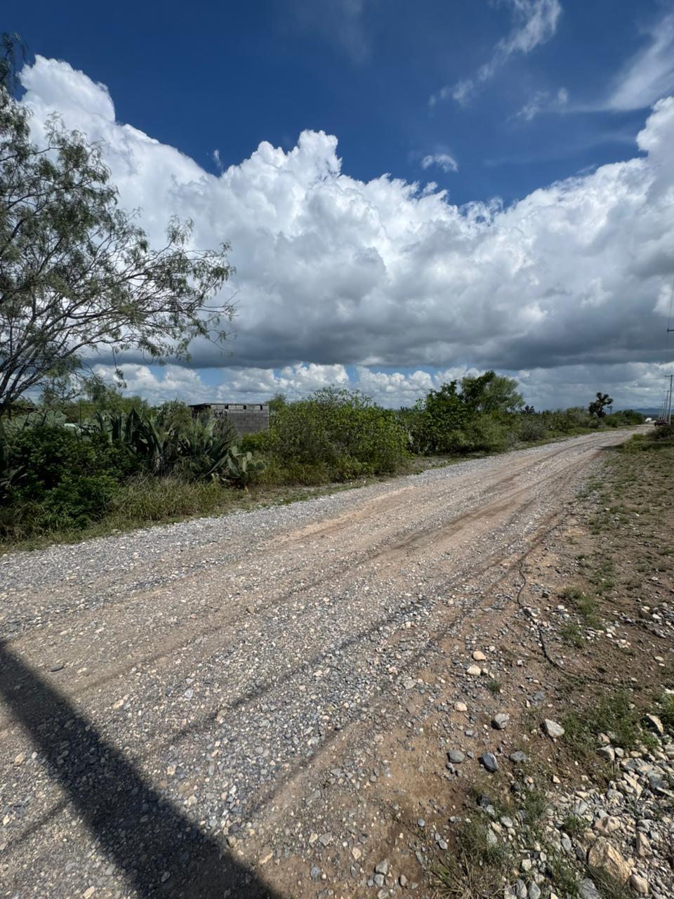 2 de 6