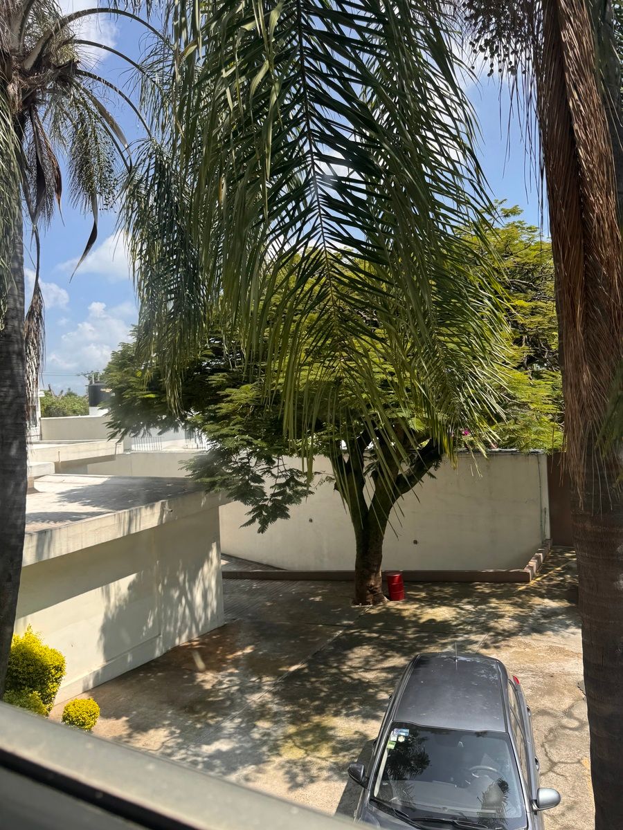 16 de 17: Estacionamiento