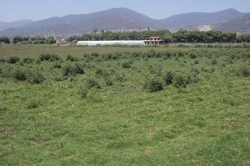 4 de 4