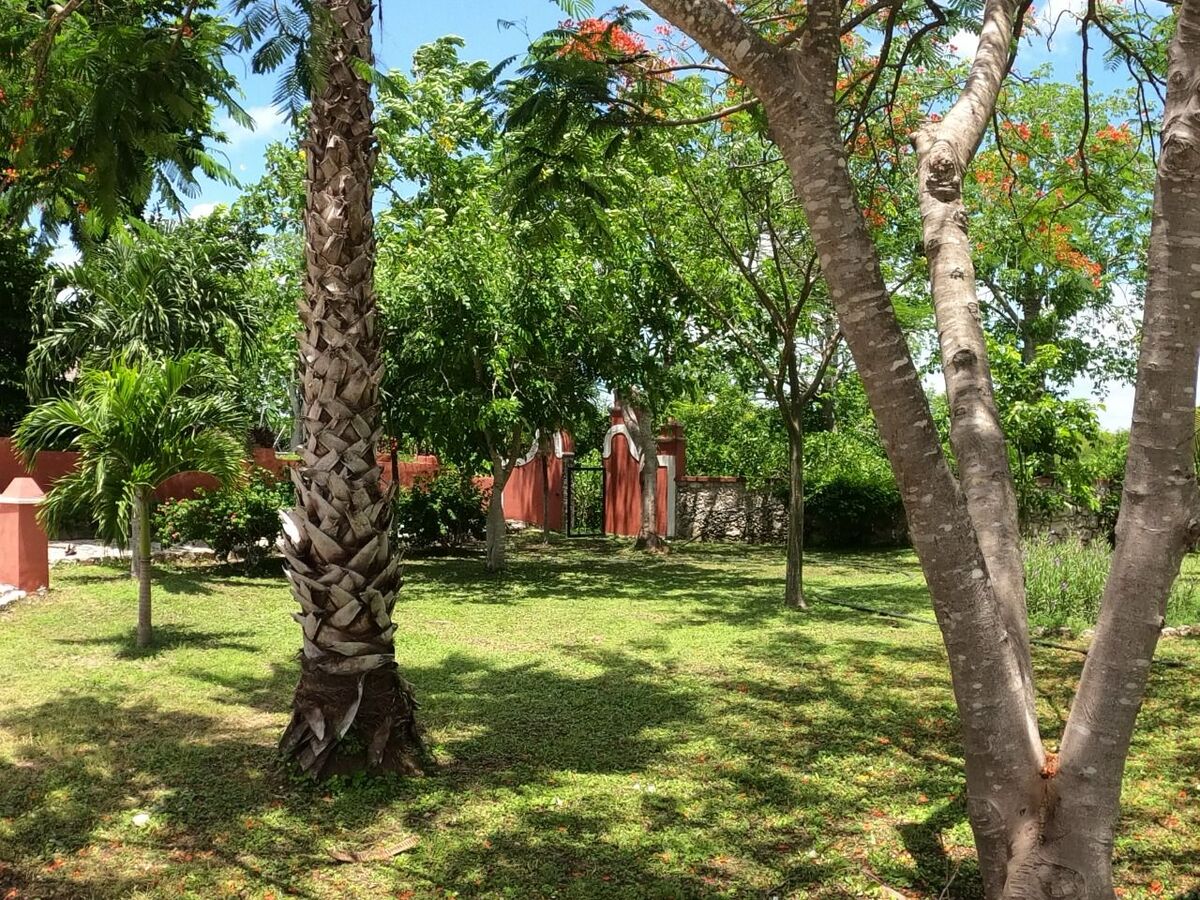 6 de 10