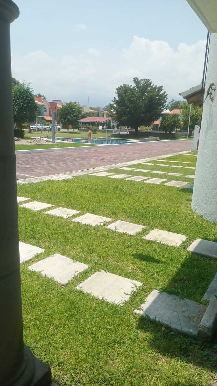 8 de 24