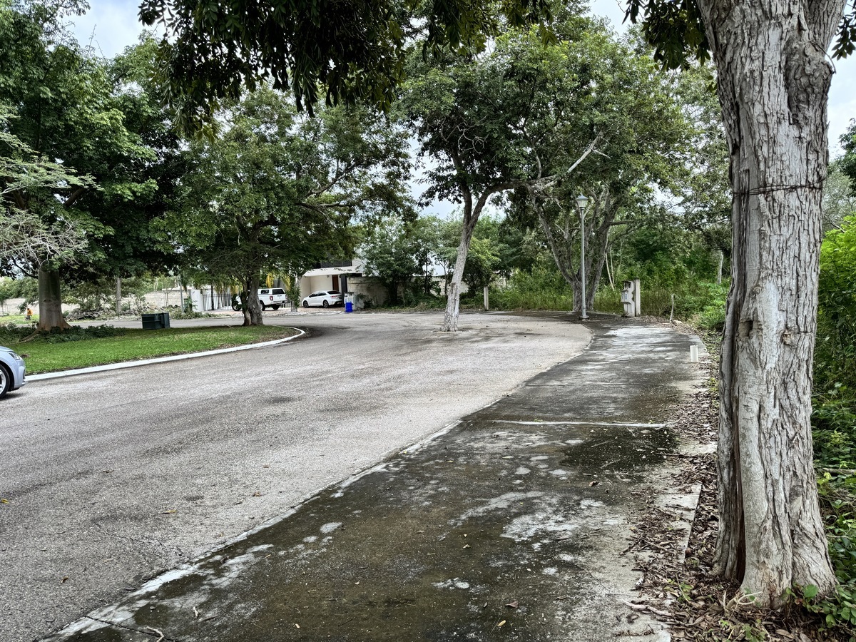 5 de 21