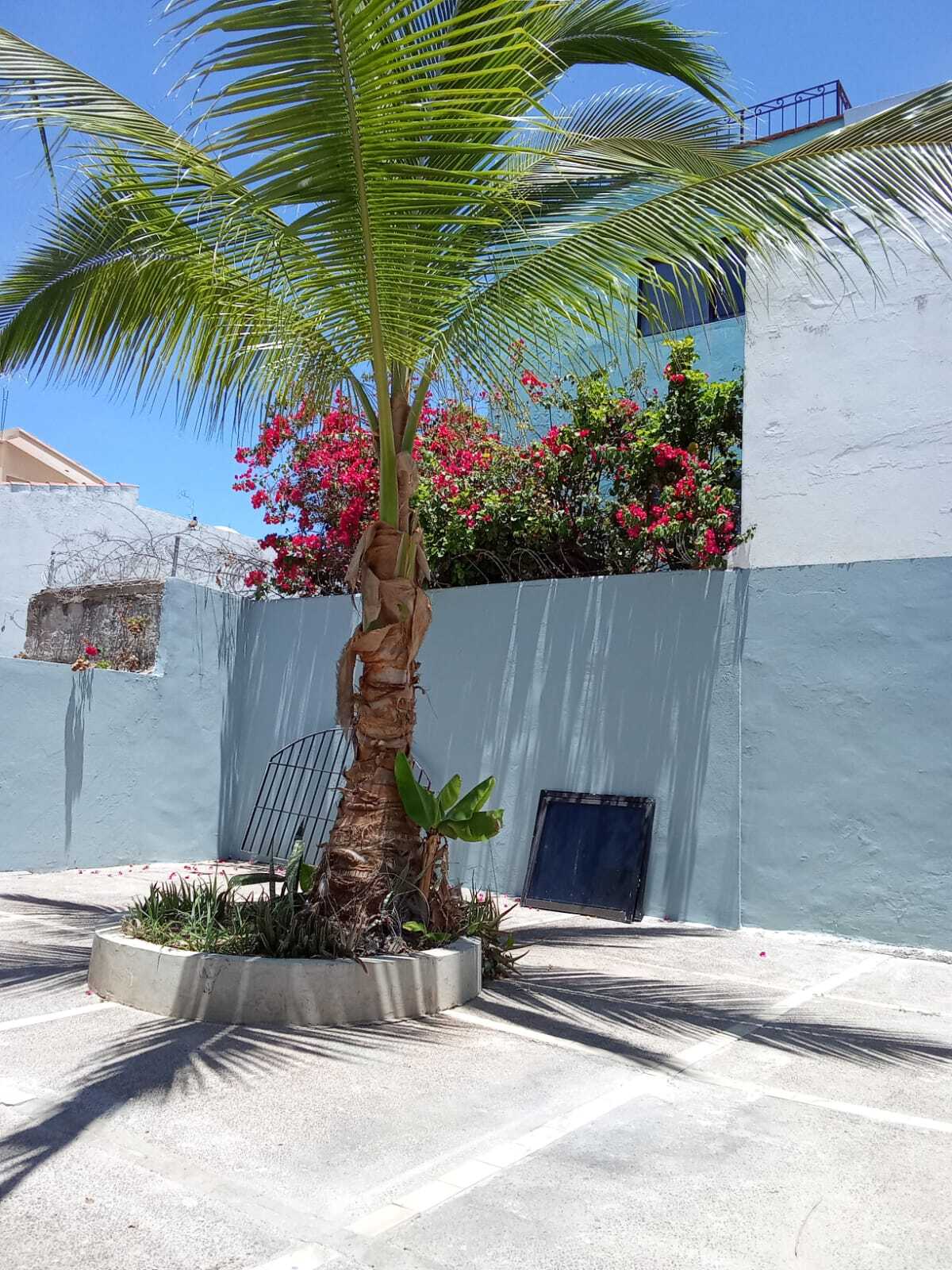2 de 24