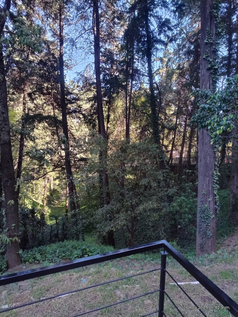 2 de 14