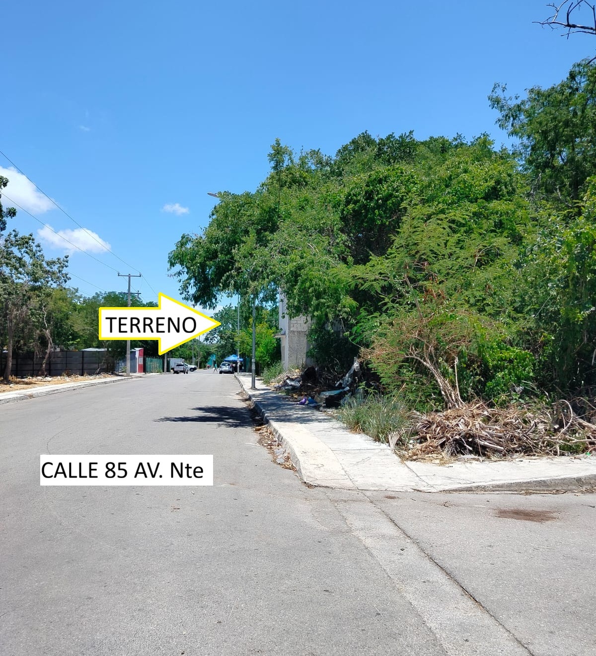 2 de 4