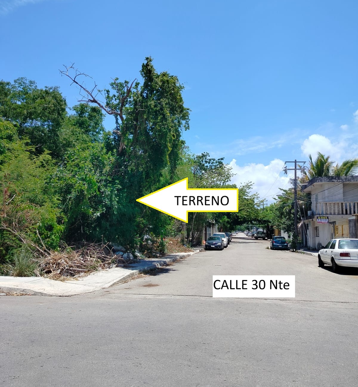 3 de 4