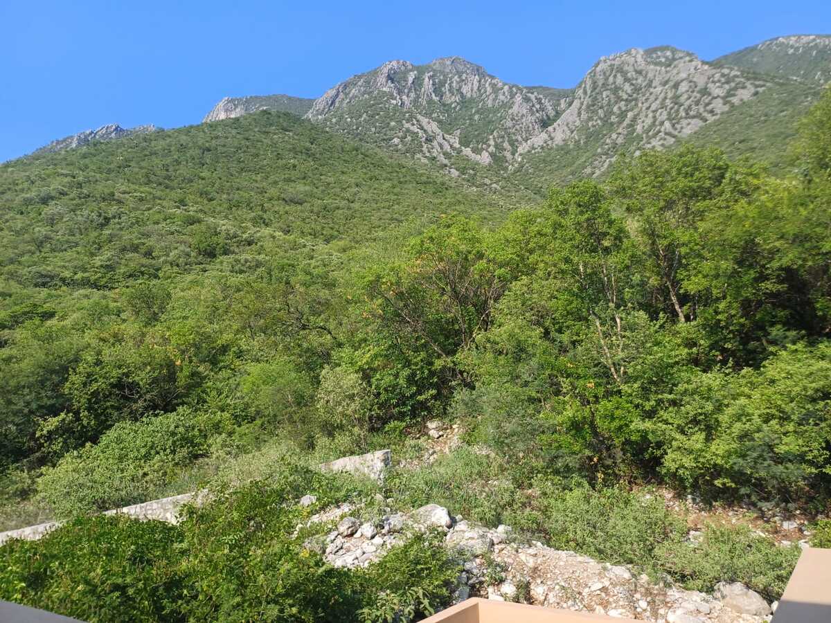 23 of 27: Vista desde la 2a terraza