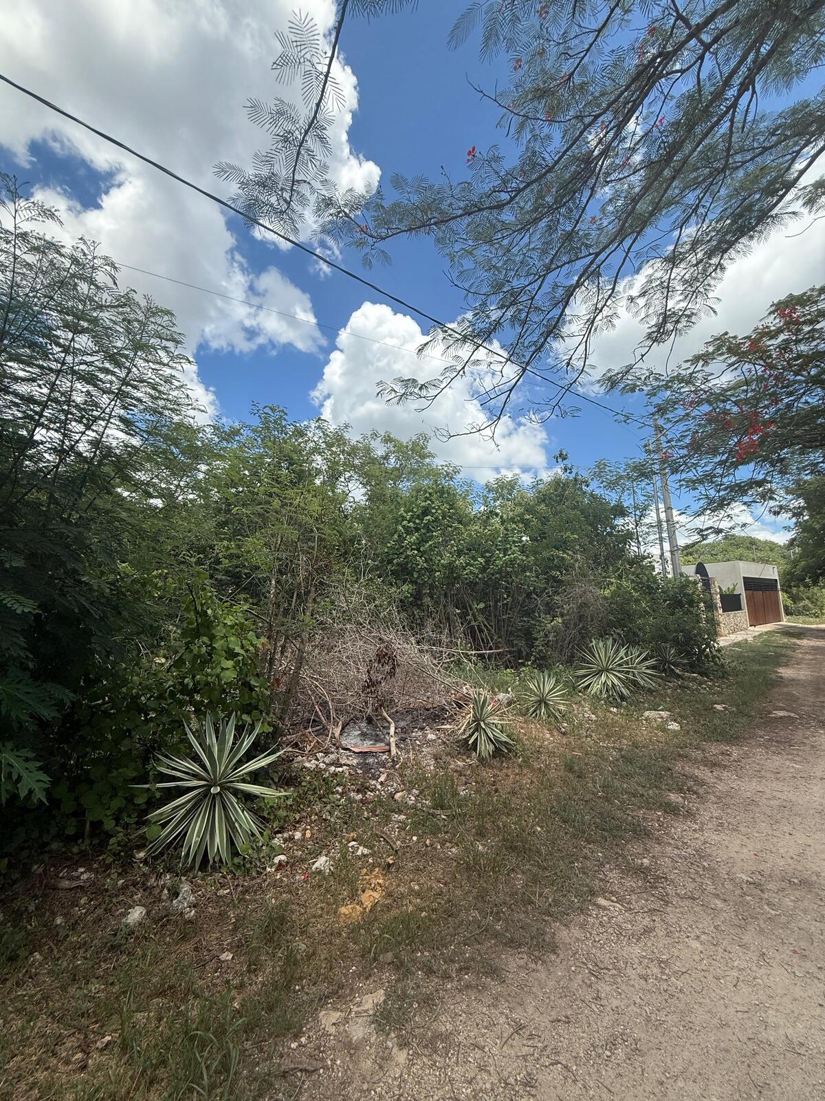 2 de 4
