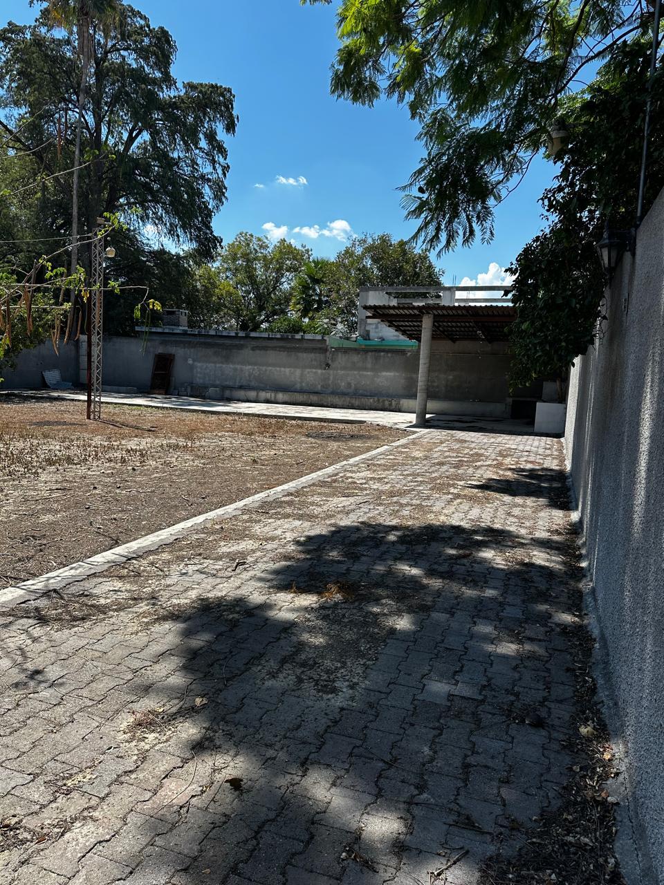 3 de 6