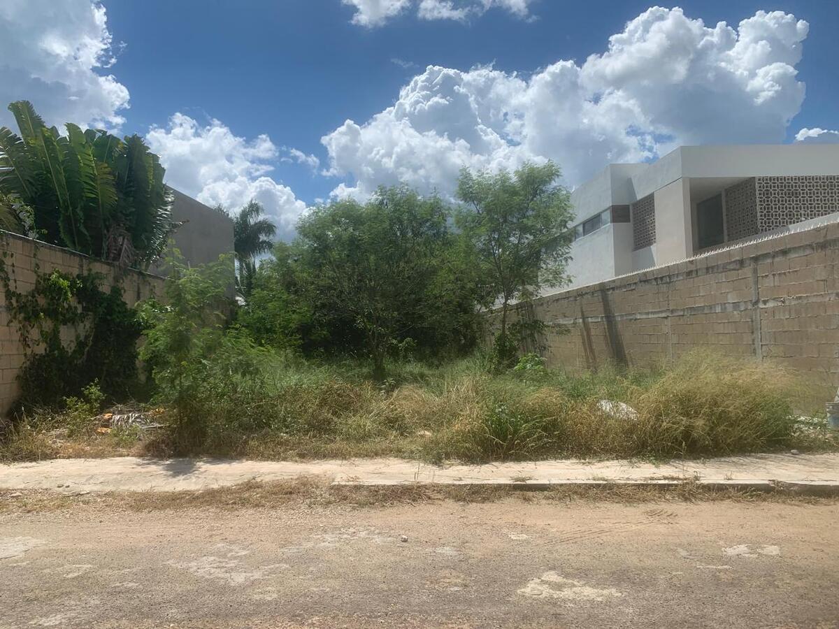 5 de 9