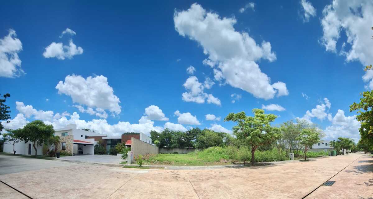 14 de 15