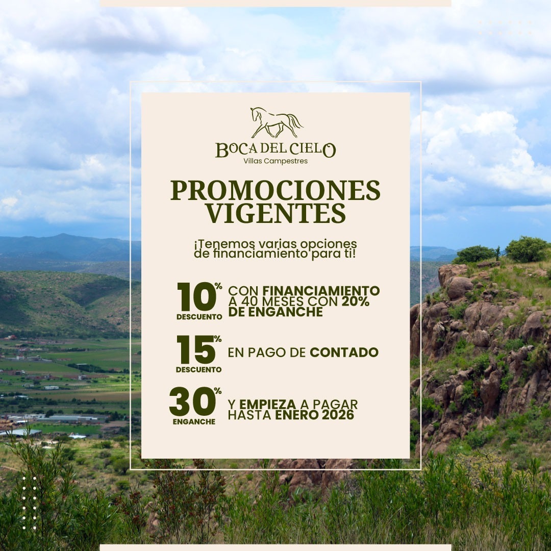 5 de 15