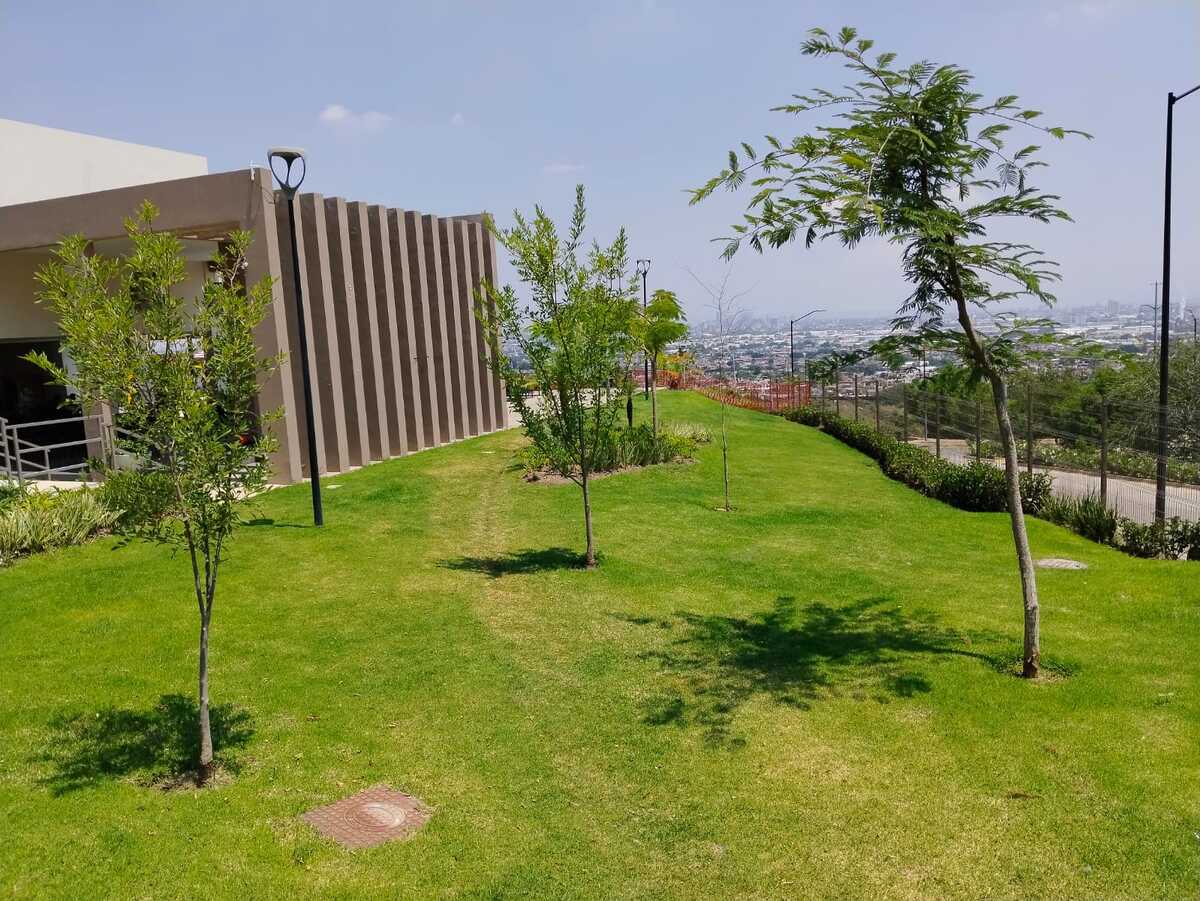 1 de 21