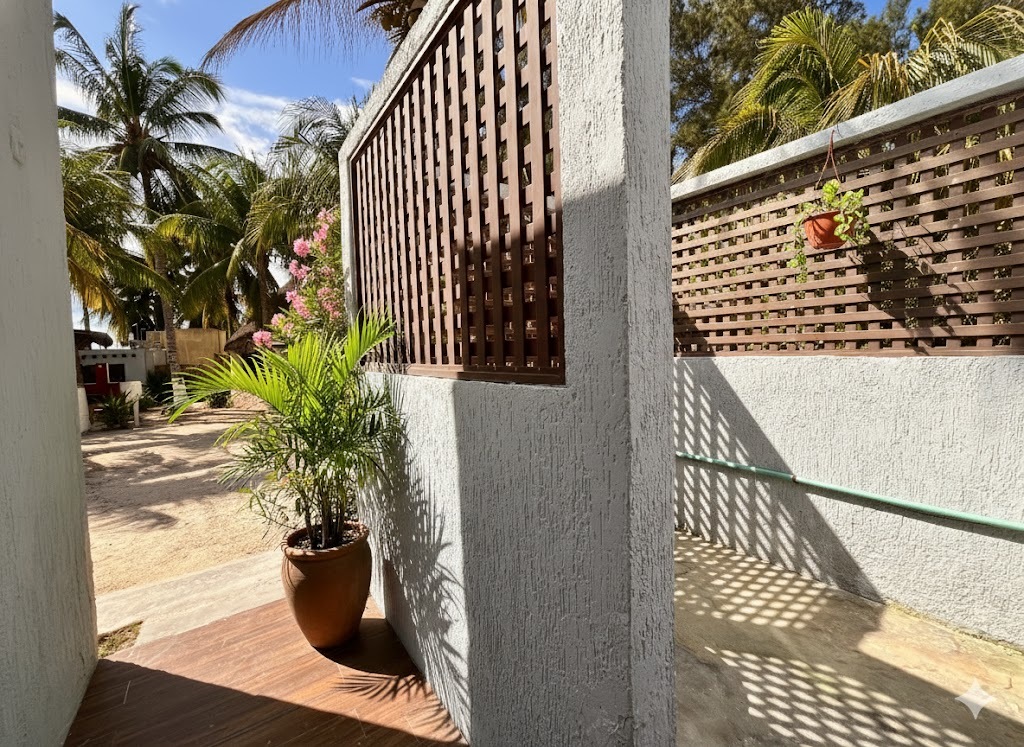 5 de 29: Pasillo de acceso principal