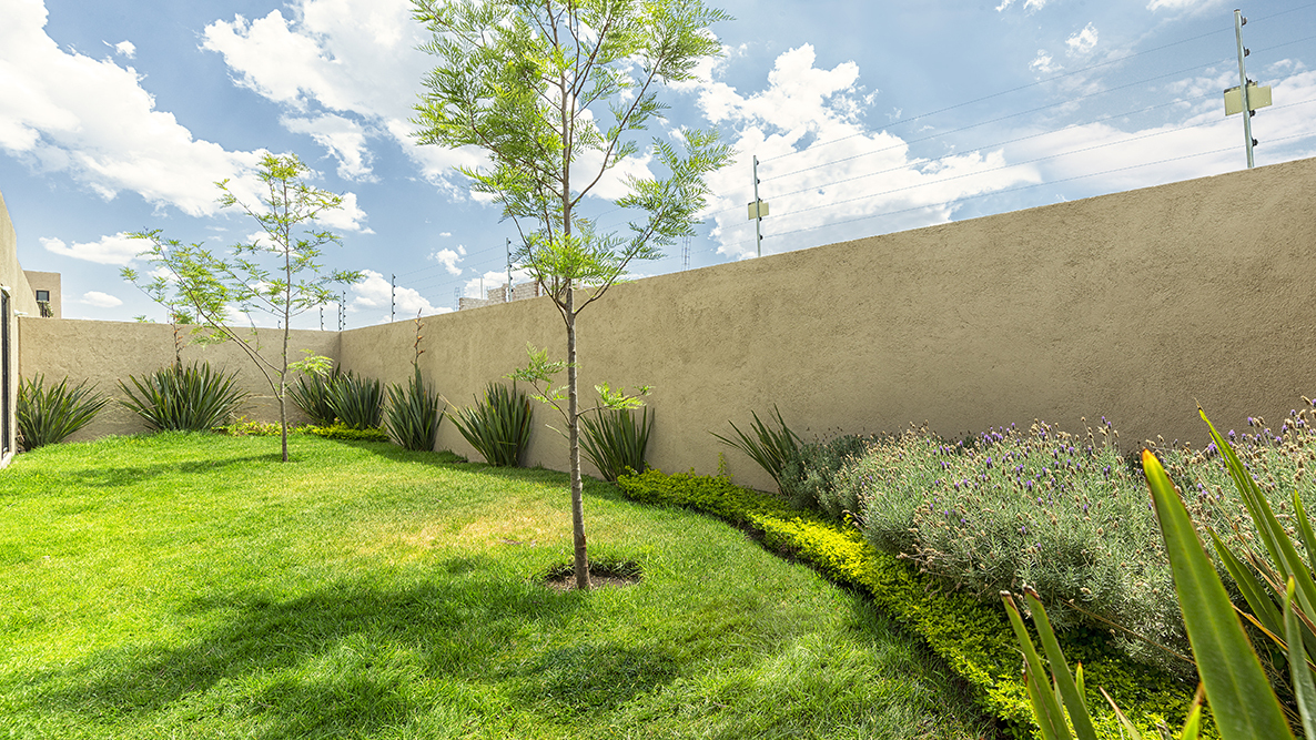 4 de 12: Jardin