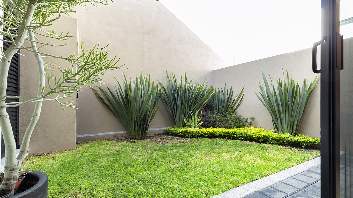 3 de 9: Jardín interior