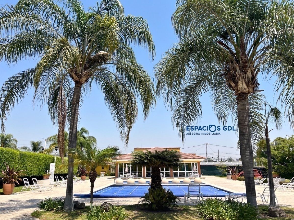 1 de 31