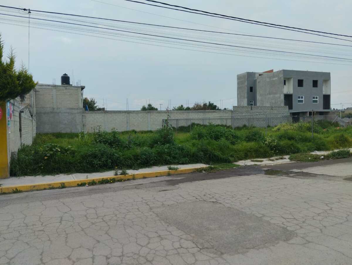 5 de 6