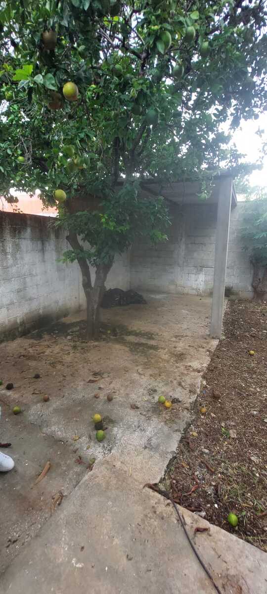 18 de 28