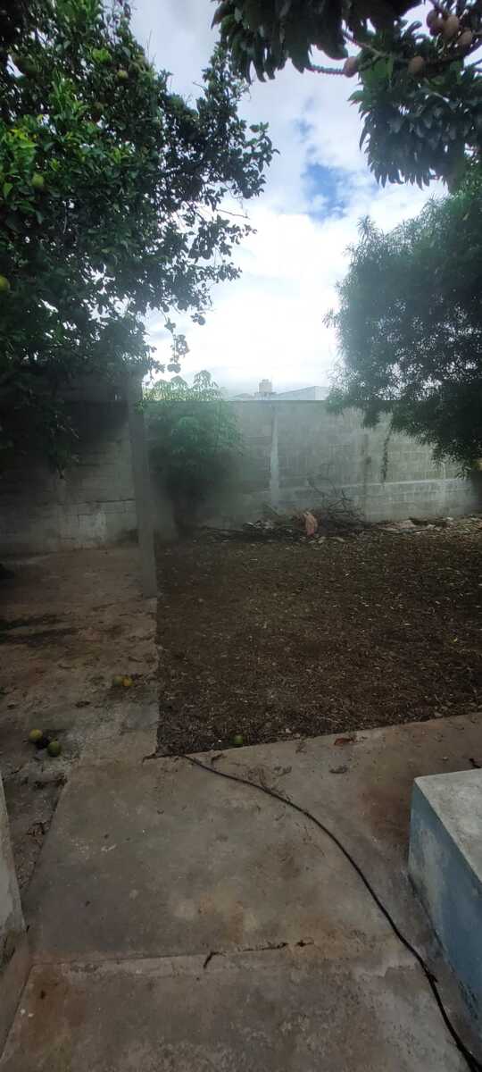 19 de 28