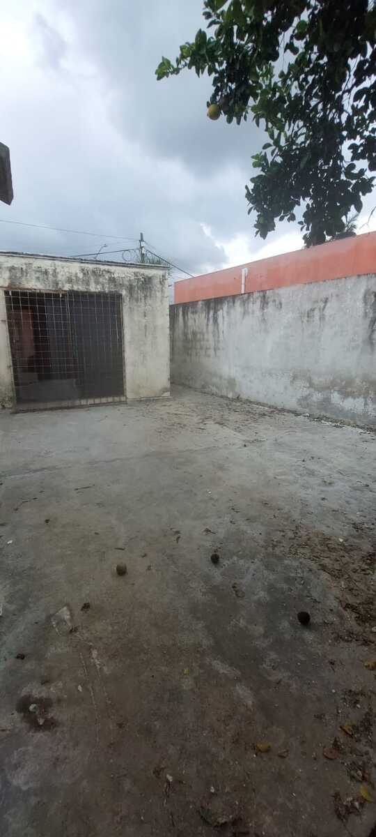 26 de 28