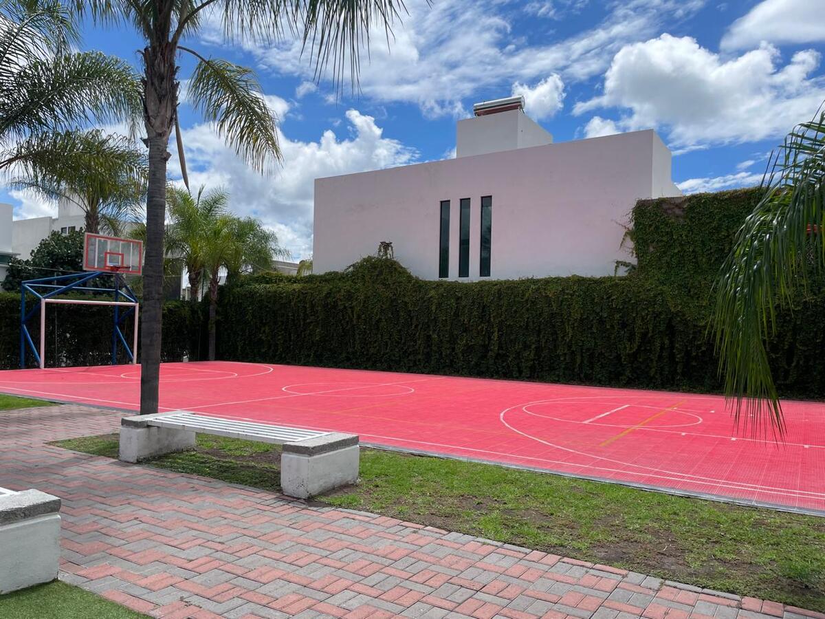 16 de 16