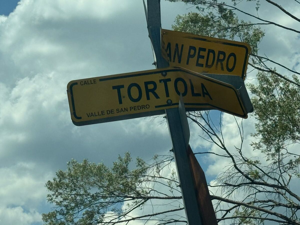 1 de 9