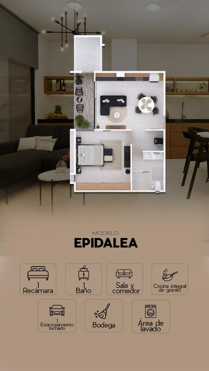 3 de 12
