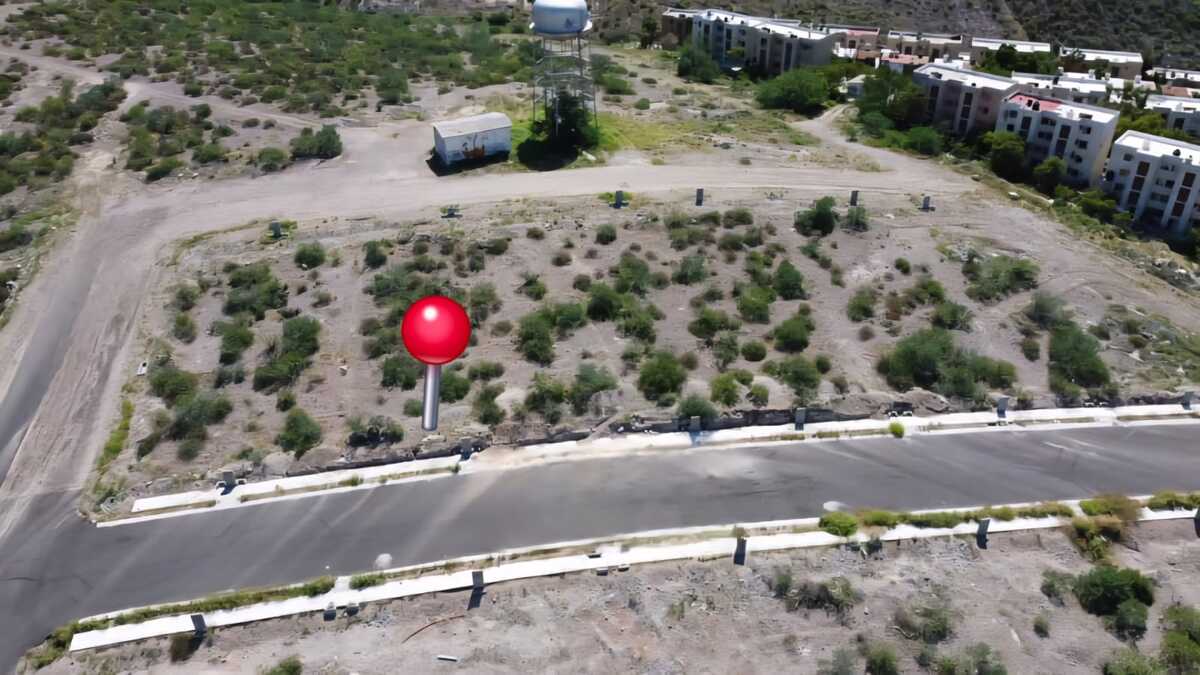 6 de 11