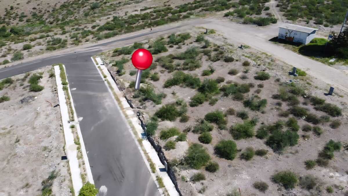 7 de 11