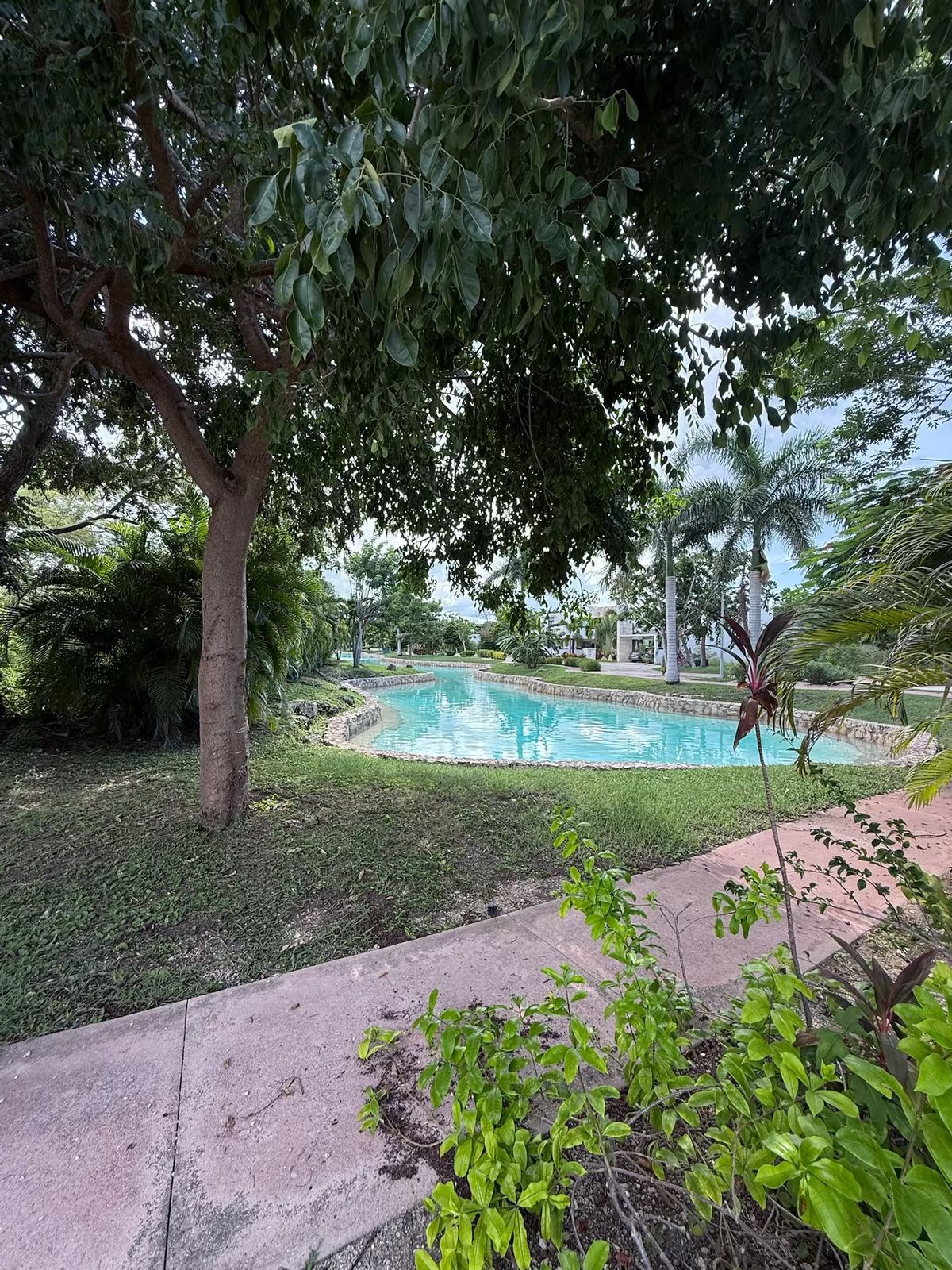 3 de 14