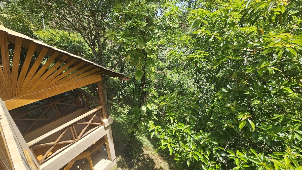 4 de 31