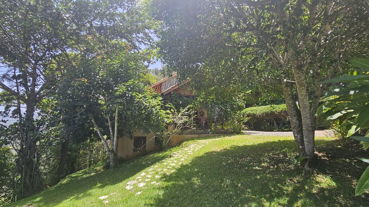 9 de 31