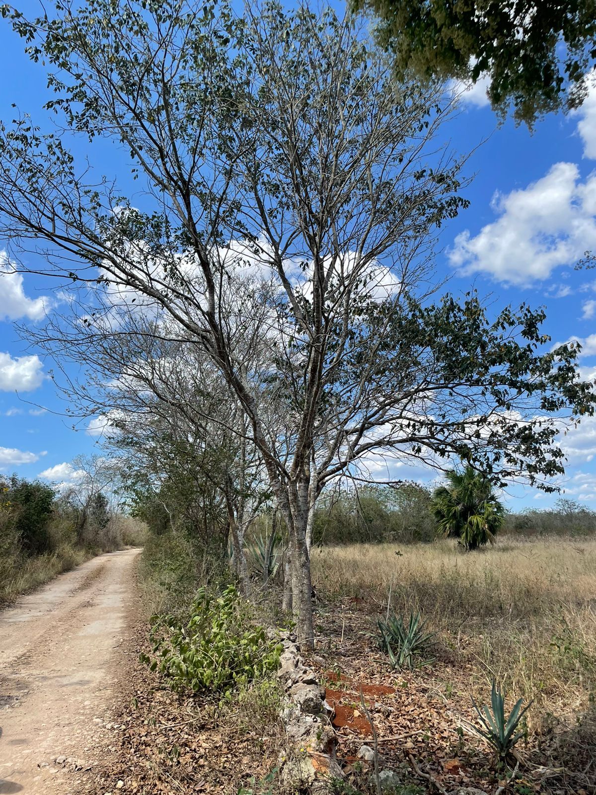 3 de 3