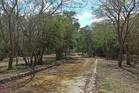 2 de 9