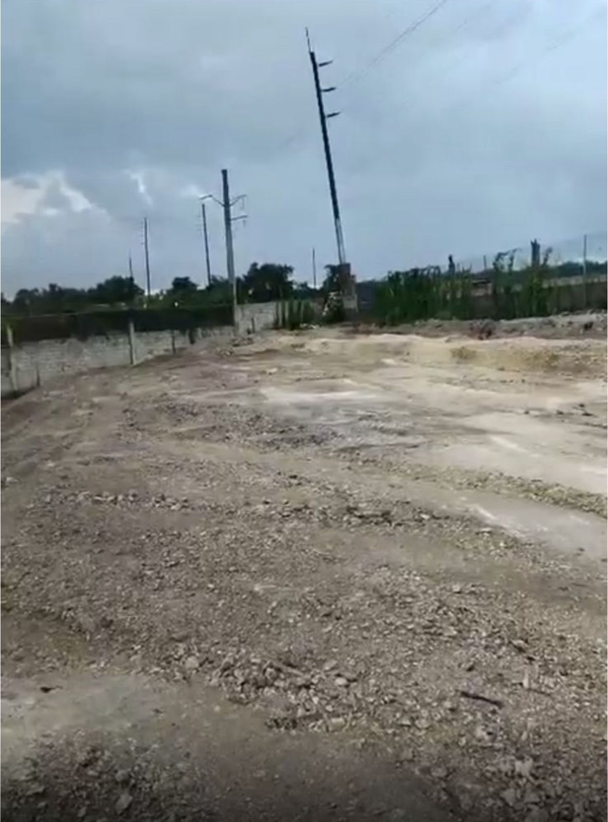 6 de 6