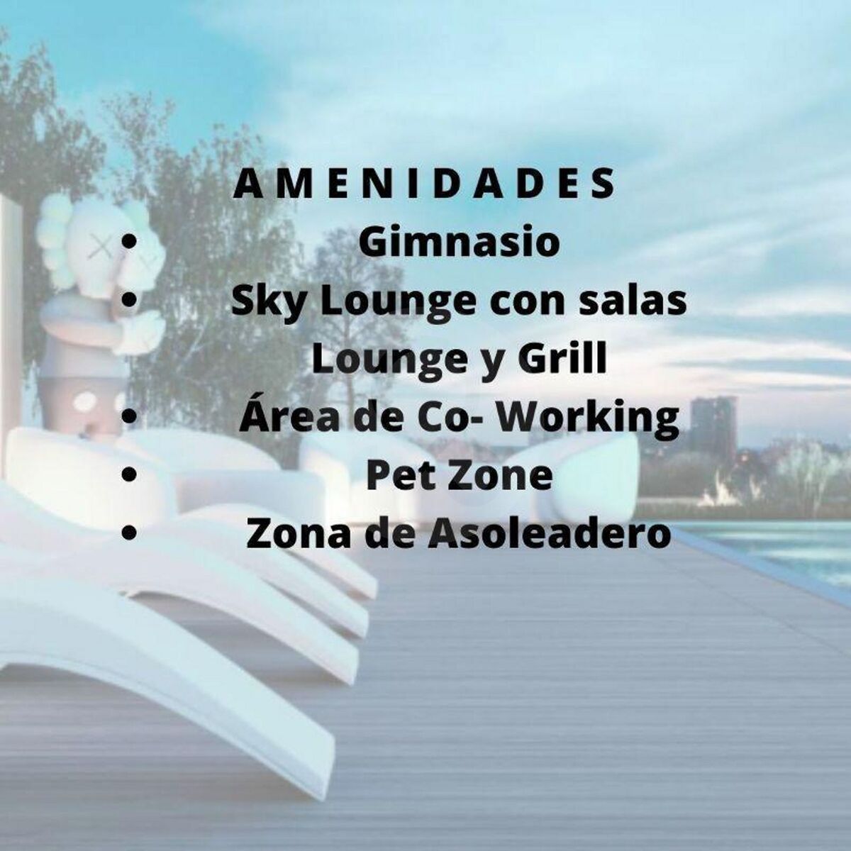 12 de 12