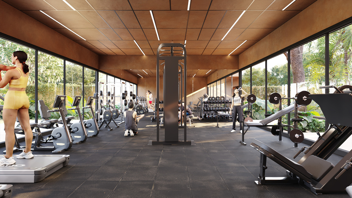 8 de 16: Gimnasio
