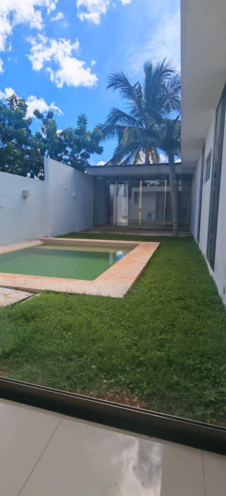 3 de 12