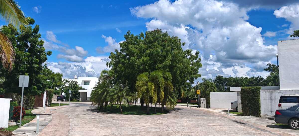 5 de 12