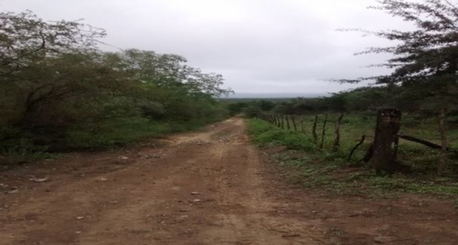 5 de 6
