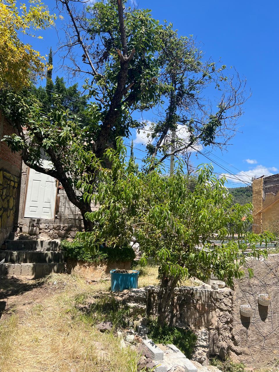 3 de 3