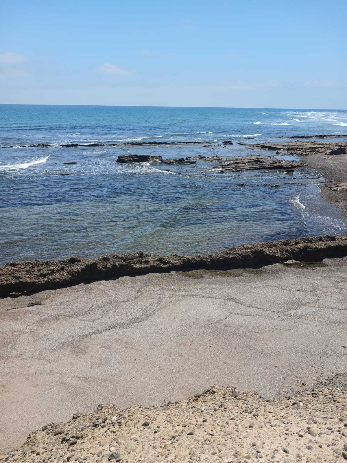 3 de 6